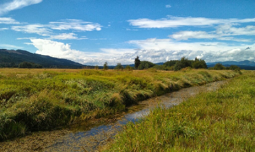 Tidwell and Hayes  06 Outlet Creek Conboy NWR